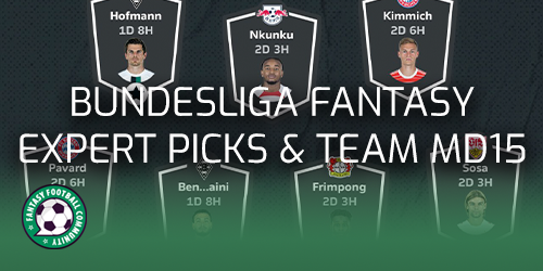 Bundesliga Fantasy Matchday 15 expert picks and team - Fantasy