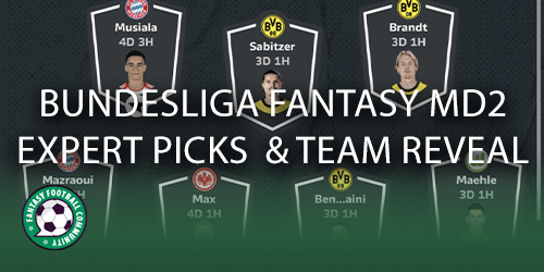 best picks this year for fantasy football