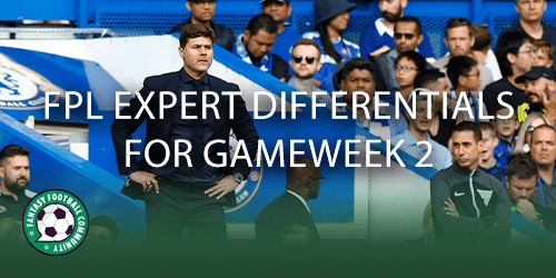 The best Fantasy Premier League differential picks for gameweek 2